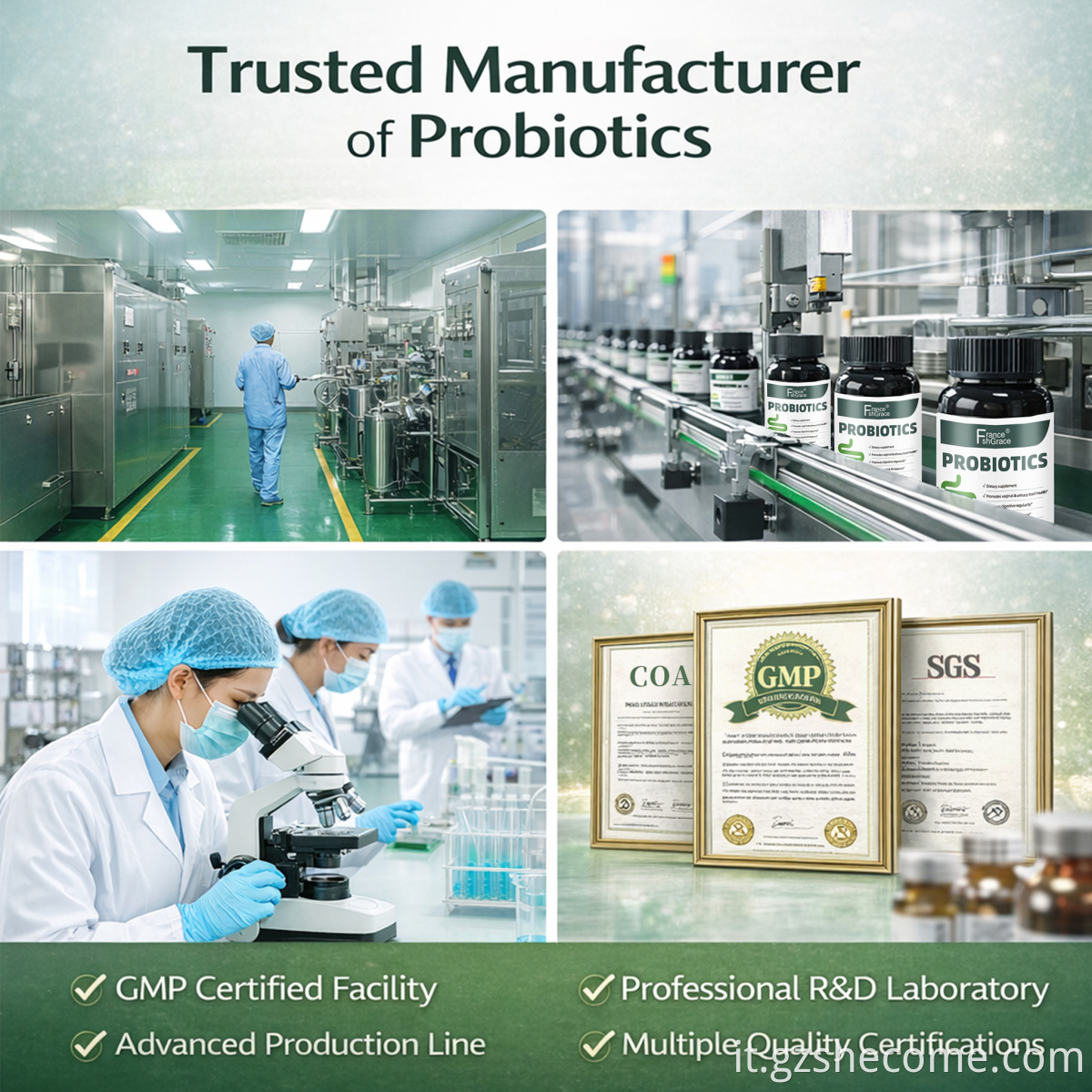 Probiotic Capsules9